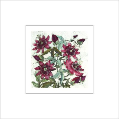 No.525 Passion Flower - signed Small Print.